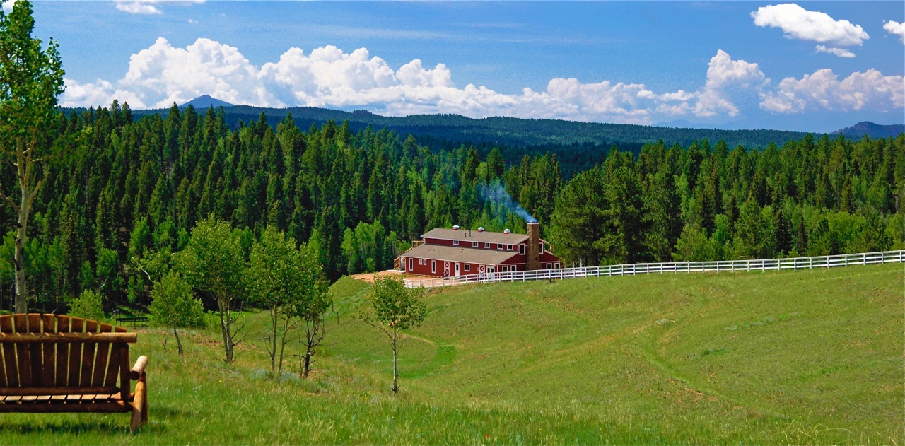 Potter's Inn